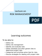 PDE4911 Risk Management V2