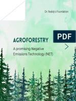 Agroforestry To Tackle Climate Change 1667457490