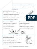 Actividades Conciencia Morfosintactica