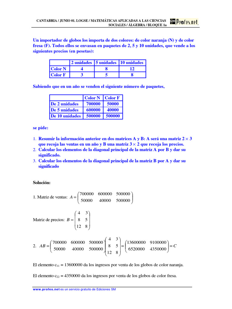 Ej Resueltos Matrices SM PDF Matriz (Matemáticas) Ecuaciones