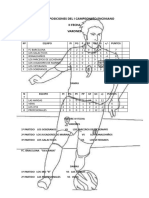 Tabla de Posiciones Del I Campeonato Enciniano