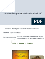 Modulo II Neuroanatomia Funcional