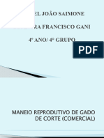 Apresentação MANEIO REPRODUTIVO DE GADO DE CORTE (COMERCIAL