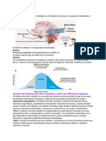 Estrés-Apuntes de Neurobiólogia