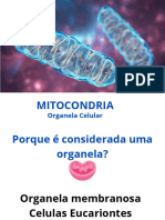 MITOCONDRIA