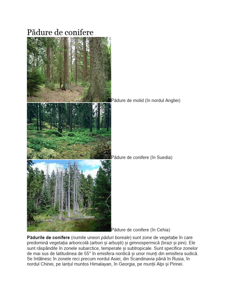 Sitemapcdatahttpswen2windecoocomconifere 5 Lettres