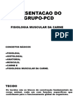 APRESENTACAO DO 1°GRUPO-PCD CHICO RENE