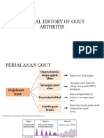 Natural History of Gout