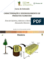 Curso de Extenso - LPF - Fundamentos de Qumica Da Madeira