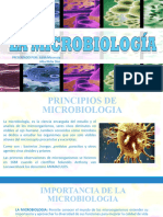 Principios de La Microbiologia (EDITH MASMUTA)