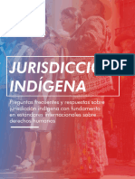 Alcance y Jurisdiccion de Los Pueblos Indigenas