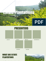Estate Plantations