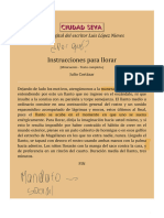 Instrucciones para Llorar - Julio Cortázar - Ciudad Seva - Luis López Nieves