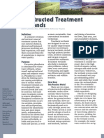 Constructed Treatment Wetlands