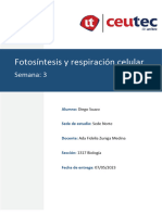 Tarea 3.fotosintesis y Respiración Celular