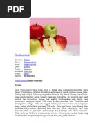 Download APEL by Fenty nassa Tunas Bangsa SN68056256 doc pdf