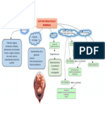 Mapa Conceptual RPM