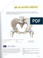 Pierre Kamina - Ostéologie Du Membre Inférieur