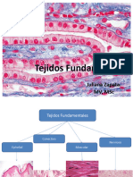 Repaso Tejidos Fundamentales