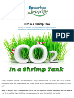 CO2 in A Shrimp Tank - Shrimp and Snail Breeder