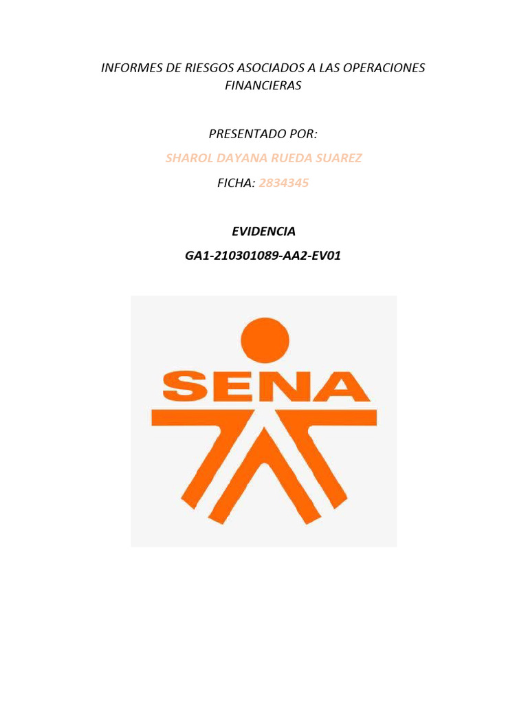 Informe De Riesgo Pdf