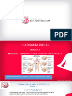 Histología 2