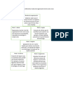 Cuadro Sinóptico Sobre Los Diferentes Niveles de Organización de Los Seres Vivos