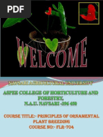 Download Anthurium Breeding by B D Mangave by manballi SN68058586 doc pdf