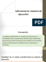 Proceso de Ejecucion Dineraria Actual