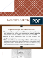 Patofisiologi PEB - DA
