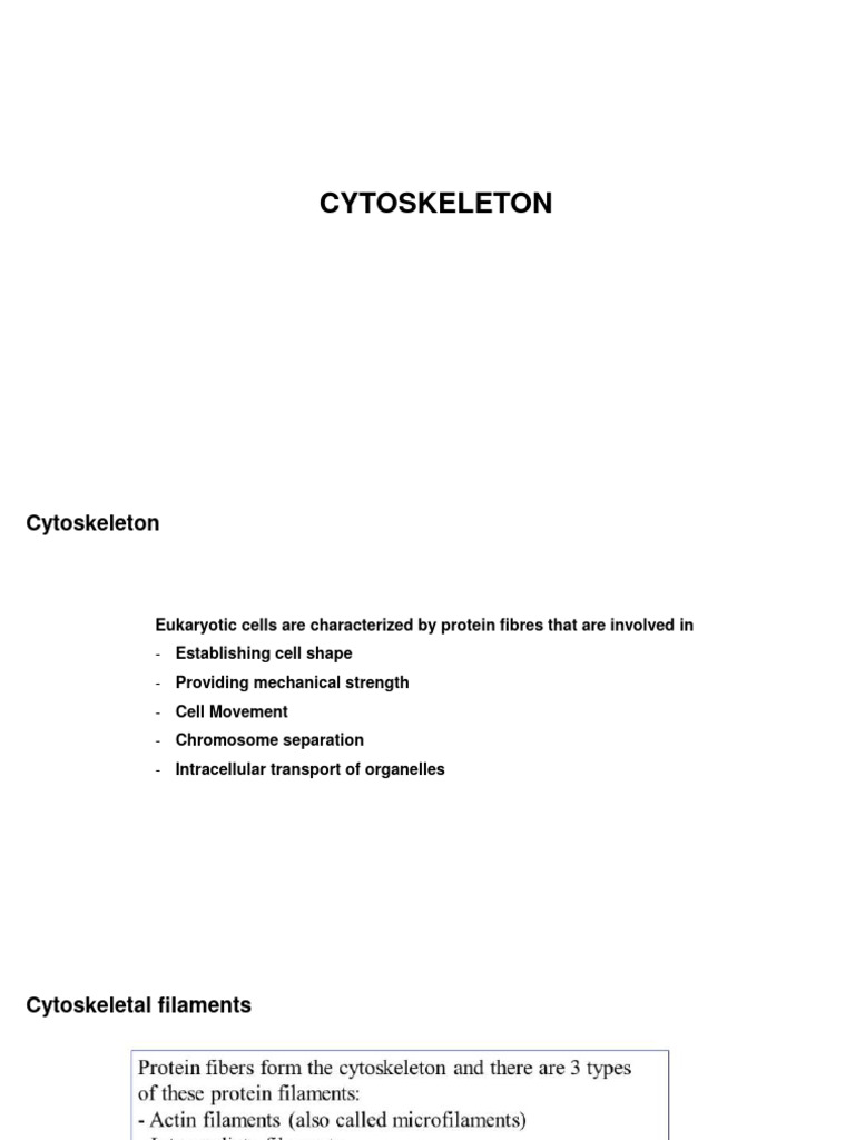 Cytoskeleton PDF Microtubule Cytoskeleton