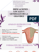 Cambios Fisio