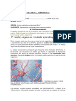 CIENCIA Y TECNIOLOGÍA Como Aprendo El Cerebro