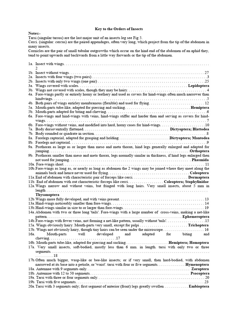 Insect Orders Identification Guide | PDF | Insects | Hexapoda