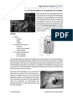 Clase 1 - Operatoria Dental I - Corte Dentario y Principios Biológicos en La Preparación de Cavidades
