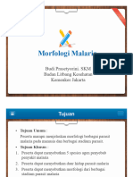 Rini Identifikasi Malaria