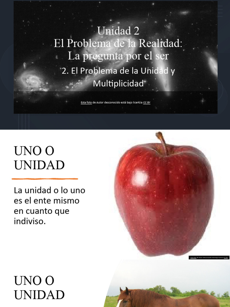 Unidad Multiplicidad PDF