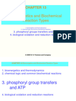 Bioenergetics and Biochemical Reaction Types