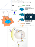 Technique RNAi