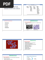 Bacteriology 3