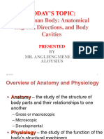 Introduction To Anatomy and Physiology