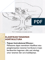 Hortculture Tree Dan Klasifikasi Tanaman Hortikultura