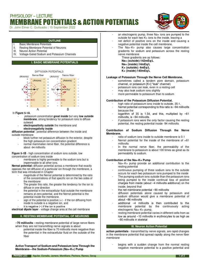 PhysioLec 5 Membrane Potentials - Action Potentials (Dr. Quilisadio ...