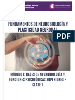 Apunte 1 - Introduccion Al Campo de Las Neurociencias