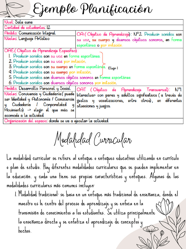 Modalidades Curriculares Educativas | PDF | Plan de estudios | Aprendizaje