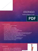 Esofago 5C