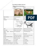 Chapter 18 MANAGEMENT OF SHEEP AND GOAT