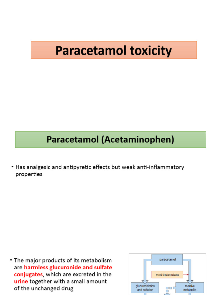 Paracetamol Toxicity PDF Pharmacology Medical Specialties