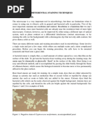 Differential Staining Techniques MCB 222