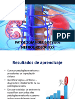 Clase 9 Patologias Del Sistema Nefrourologico